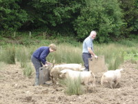 Pig course May 2008_1.JPG